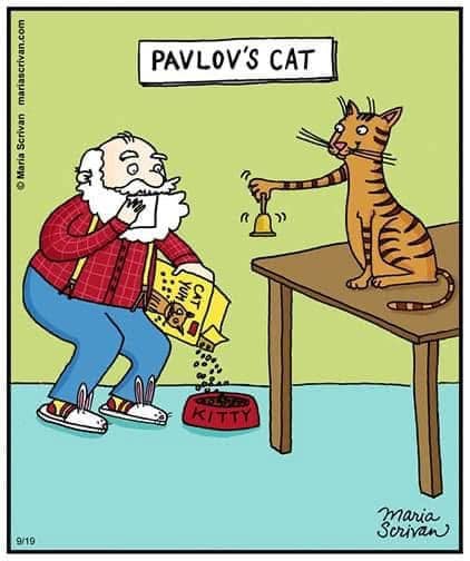 pavlovs cat.jpg