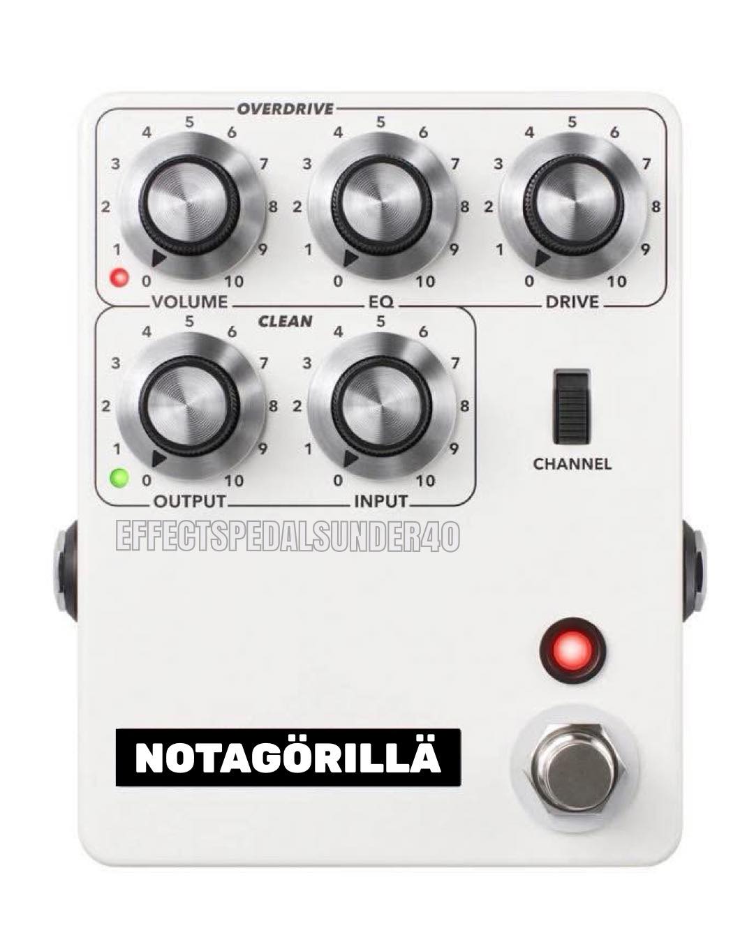 notagorilla.jpg