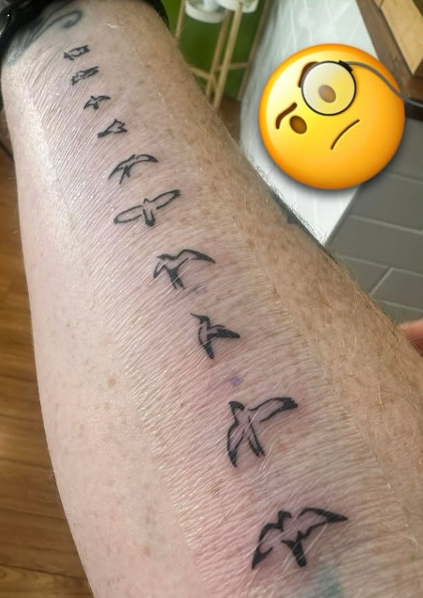 prs tats.jpg