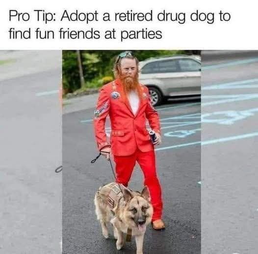 dog to parties.jpg