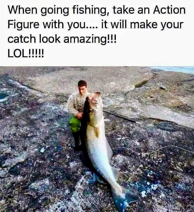 FISH.jpg