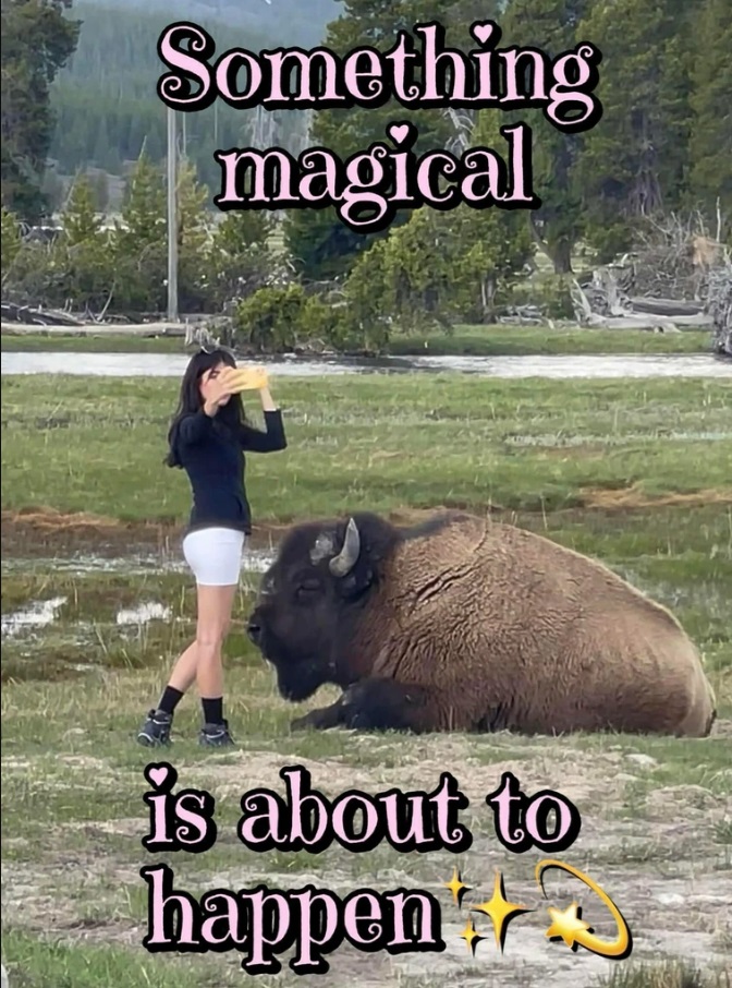 magical.jpg